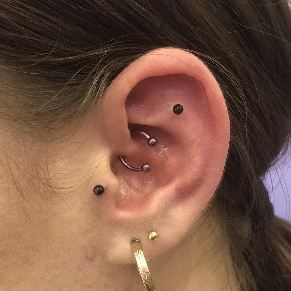 Lila anodizált daith piercing több fülpiercing mellett Daith piercing lila anodizált patkó ékszerrel, több fülpiercinggel női fülben
