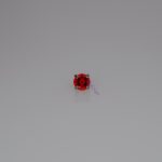 Garnet színű, prong foglalatos piercing fejrész titán foglalatban.